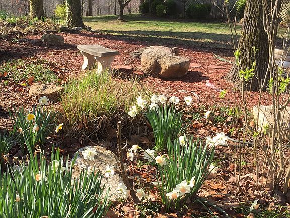 Gardens and fruit trees