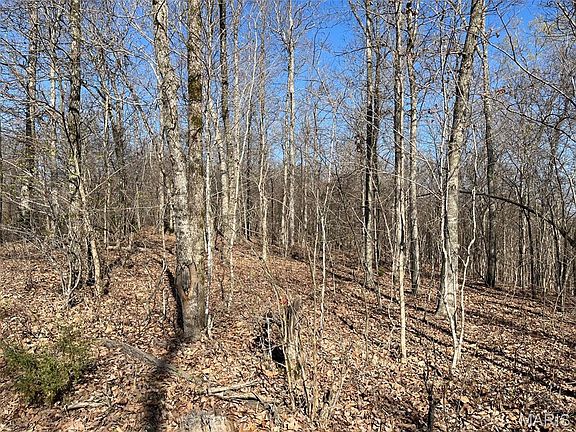 3rd image of PARCEL 1 Lake Rd