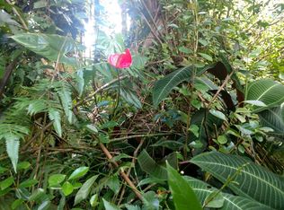 15-2866 Japanese Camp Rd LOT 29&3, Pahoa, HI 96778