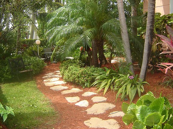 Tropical paradise backyard