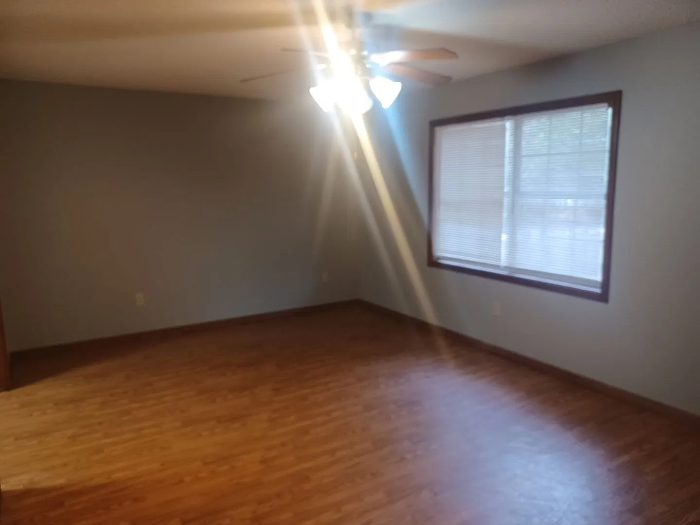 Charming 2 Bed / 1 Bath Home in Pineville - $895/Month — Photo 4
