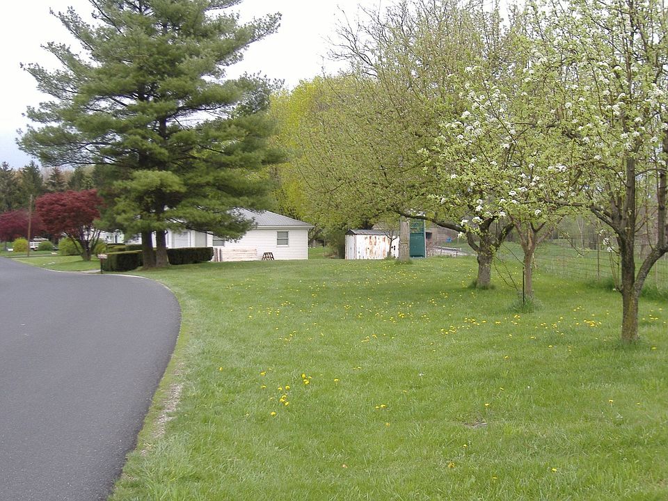 fruit trees and side yard