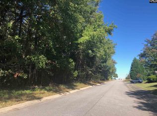 0 Libby Ln, Lexington, SC 29072