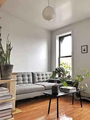 Rented by NOVO | media 1