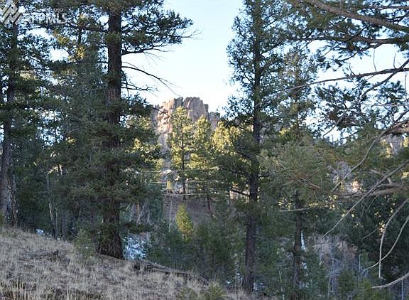 4th image of 373 Overlook Cir