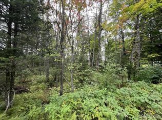 W Brule Lake Rd, Iron River, MI 49935