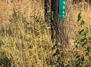 9845 Elms Rd, Birch Run, MI 48415