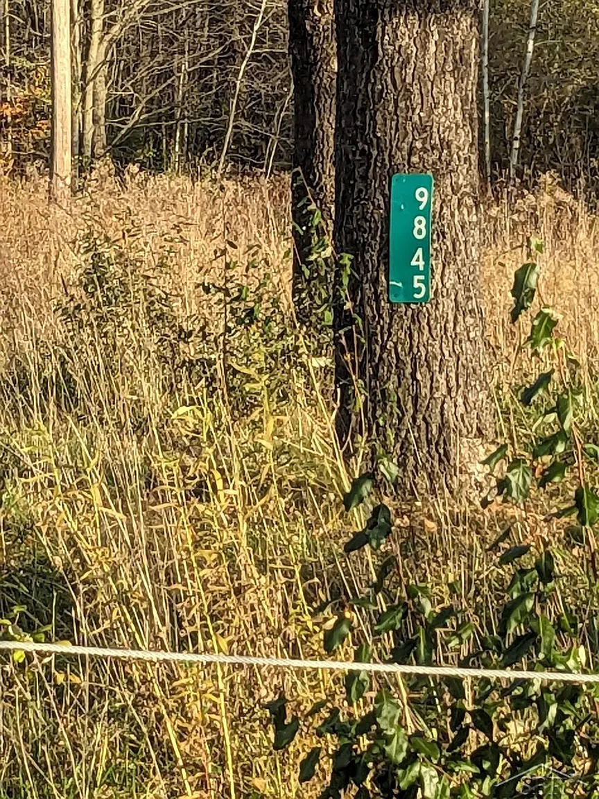 9845 Elms Rd photo 1
