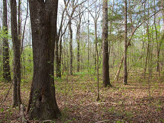 2nd image of 780 Breedlove Rd
