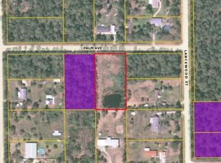 5043 Palm Ave, Bunnell, FL 32110