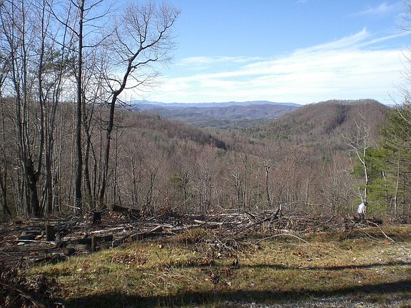 House site when cleared 