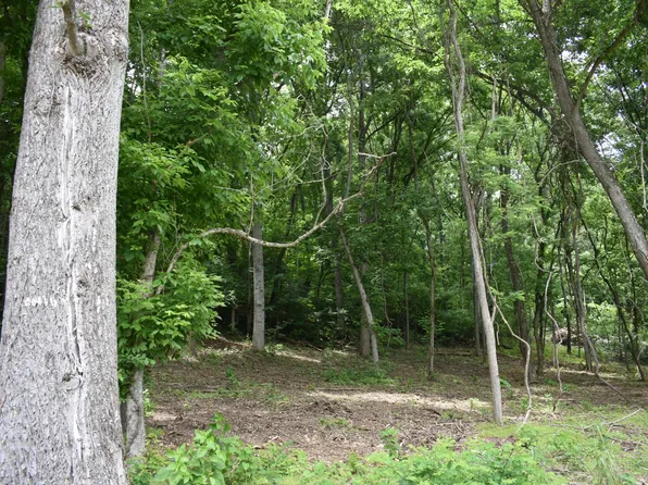 0 Turkey Creek Hwy Lot 2, Carthage, TN 37030