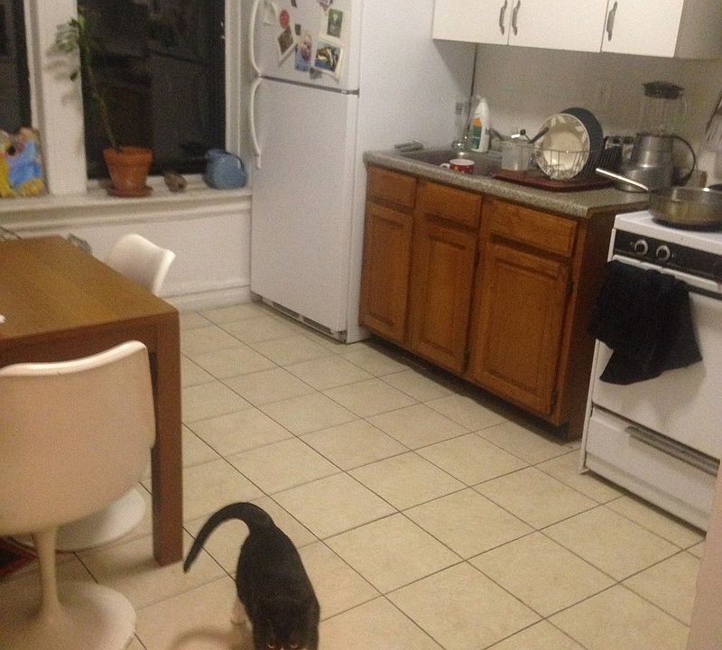 1st image of 4108 42nd St APT 2F