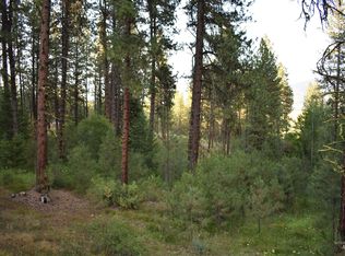 L04b06 Camas Dr, New Meadows, ID 83654