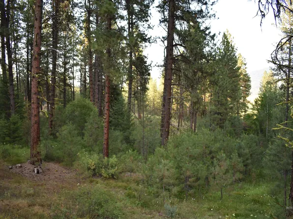 L04b06 Camas Dr, New Meadows, ID 83654