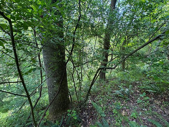 5th image of 0 Rush Run Steer Ck Rd