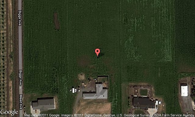 Map View