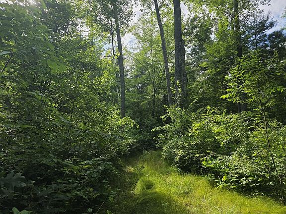 5th image of E Michland Path
