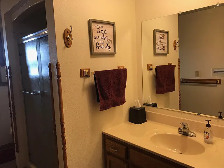 Lower level bathroom