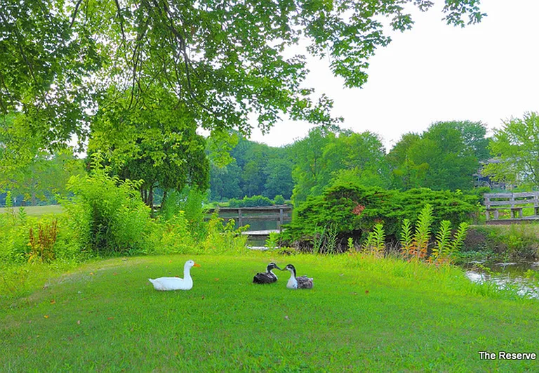 The Reserve at Forest Gate — Photo 14