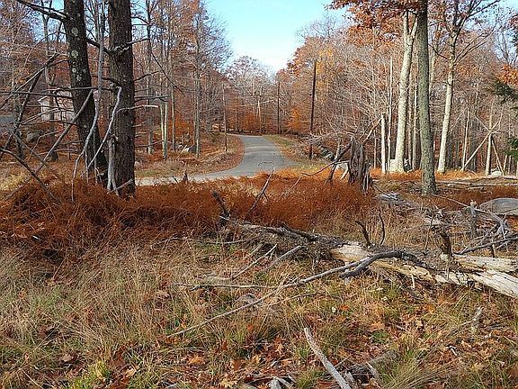 View back down the road