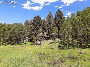 212 Summit Loop, Florissant, CO 80816