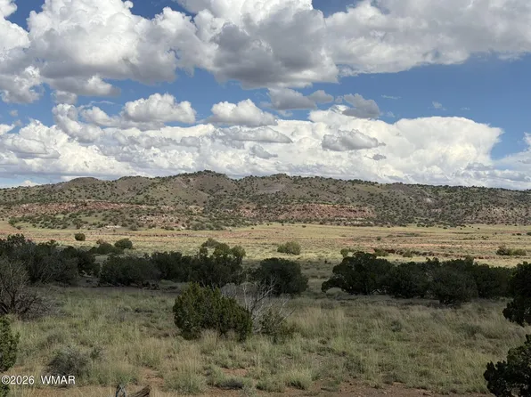 Lots 18 19 N8577 Rd, Concho, AZ 85924