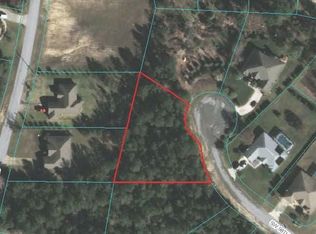 Tbd Sw 98th Ln, Ocala, FL 34476