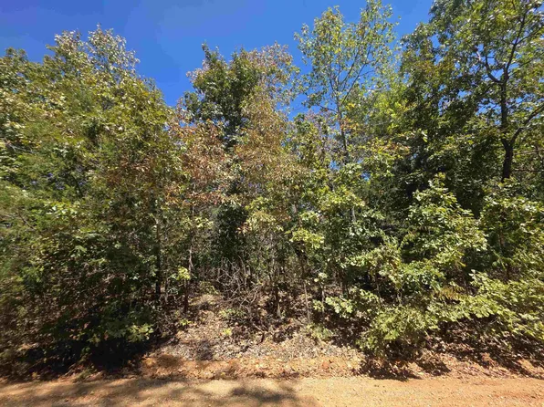 L4e B3 Ridgecrest Dr, Hardy, AR 72542