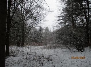 0 Fisk Hill Rd, Unadilla, NY 13849