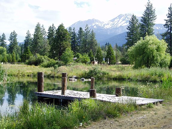 Pond with Mt. Shasta View