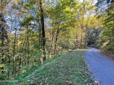 1020 Big Buck Trl, Townsend, TN, 37882