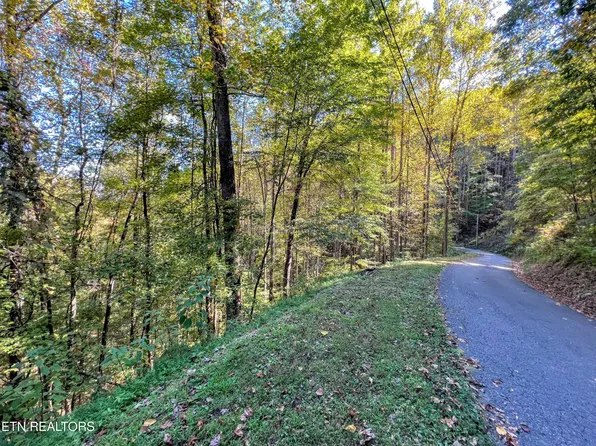 1020 Big Buck Trl, Townsend, TN 37882