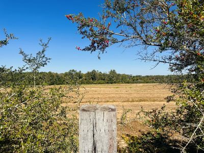 LOT 7 E Highway 2, Bonifay, FL, 32425