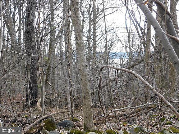 4th image of 3909 River Rd