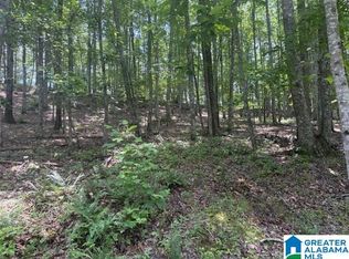 62 Bluebird Ln #11, Springville, AL 35146