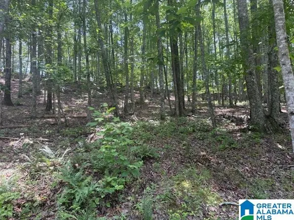 62 Bluebird Ln #11, Springville, AL 35146