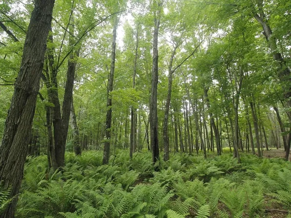 Lot 1 CSM 2309 Deer Run, Montello, WI 53949