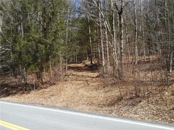 Gulf Road, Callicoon Center, NY 12724