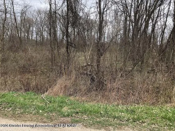 102 Lakeside Dr, Perrinton, MI 48871