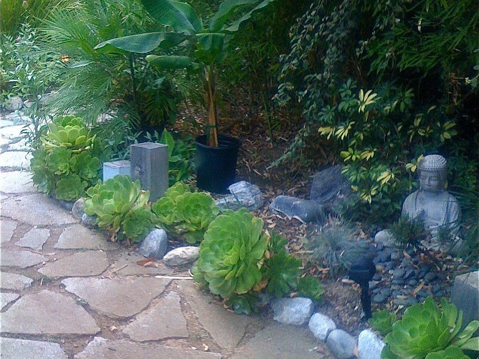 path from road to front door