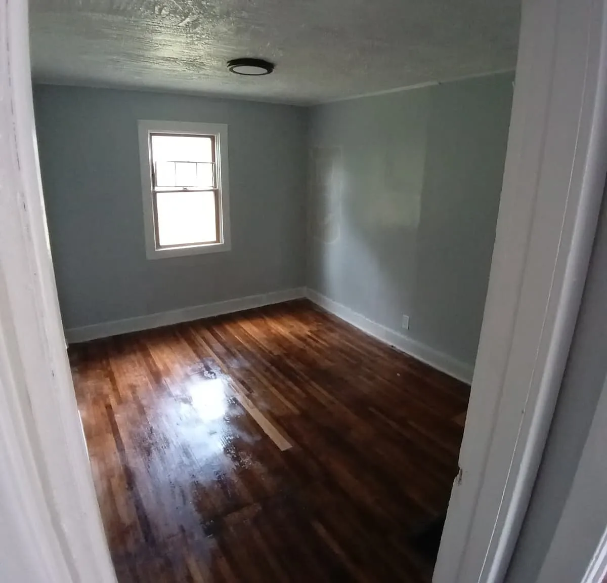 65 Saratoga Avenue - 1 — Photo 4