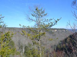 Panther Falls Rd, Wilder, TN 38589