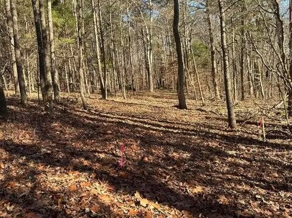 2 Lower River Rd NW, Charleston, TN 37310