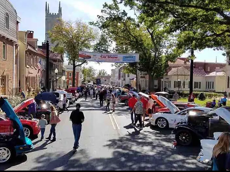 Woodlane Rd — Photo 9
