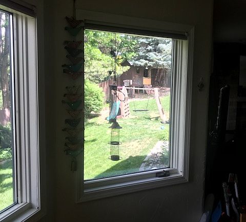 Double pane windows throughout