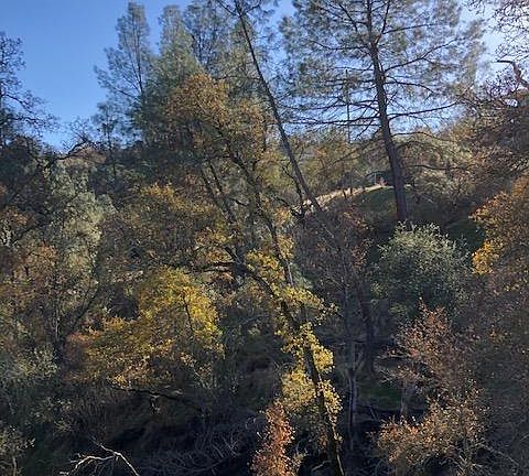 4th image of 4577 Kiva Dr #2176