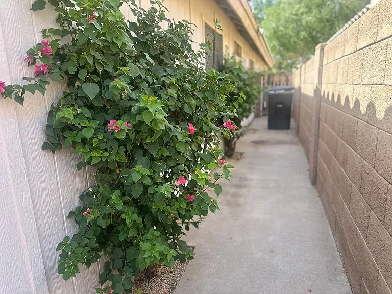5781 W Jupiter Way — Photo 20