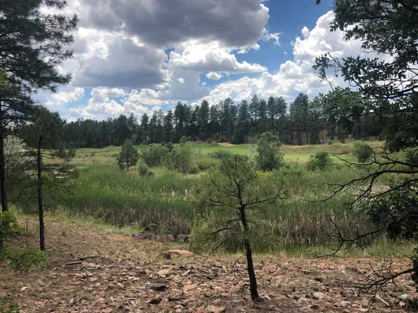 490 Rockcress Ln, Show Low, AZ 85901