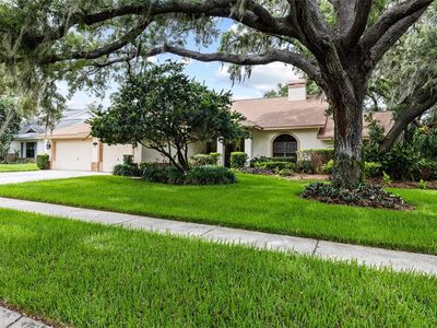 2555 MASON OAKS DRIVE, Valrico, FL, 33596